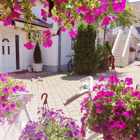 アパート White House *