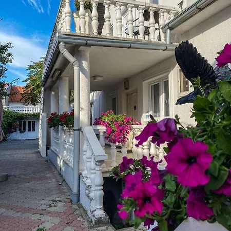 & Pool White House * Pančevo