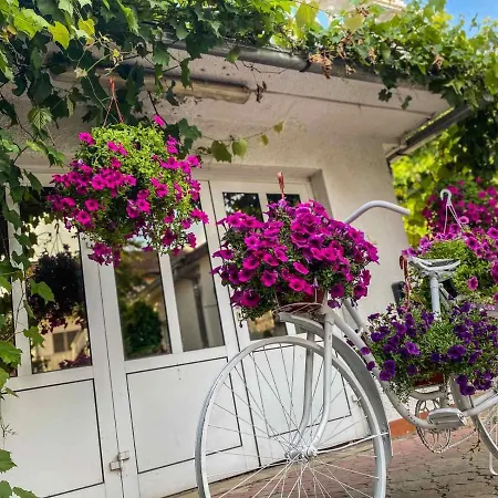 Daire & Pool White House *