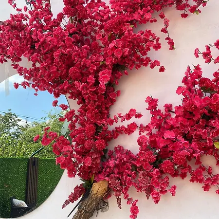 Daire & Pool White House