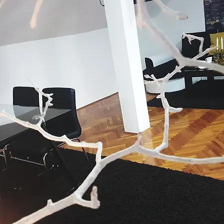 & Pool White House Daire Pančevo