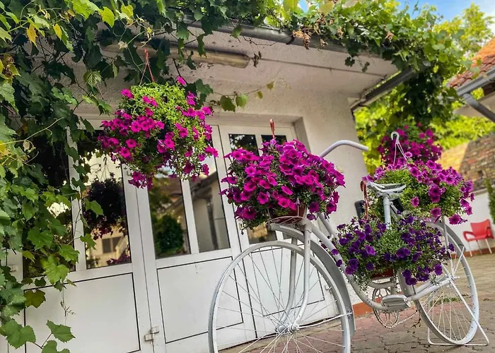 アパート White House *